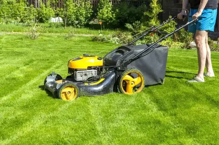 Affordable Lawn Mowing in Richmond, CA