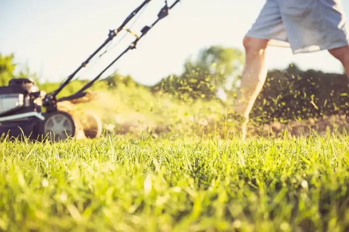 Can you mow wet grass in Richmond, CA