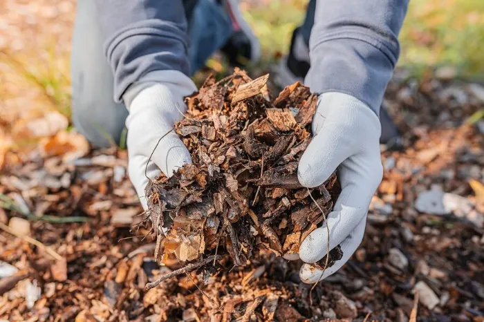 Dependable Mulching in Richmond, CA