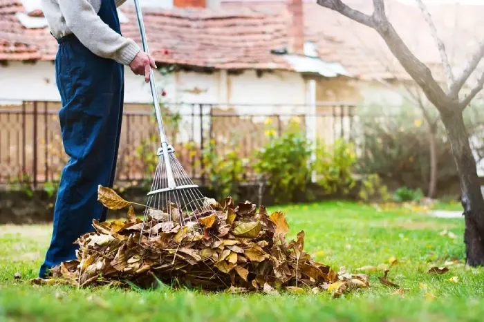 Detailed Yard Cleanup in Richmond, CA