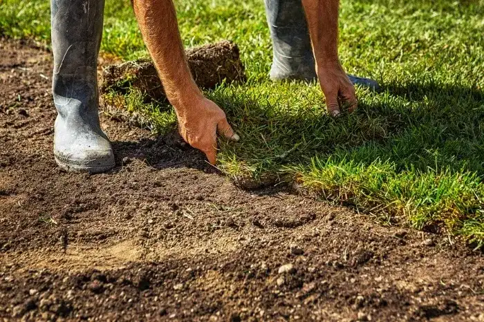 Excellent Sod Installation in Richmond, CA