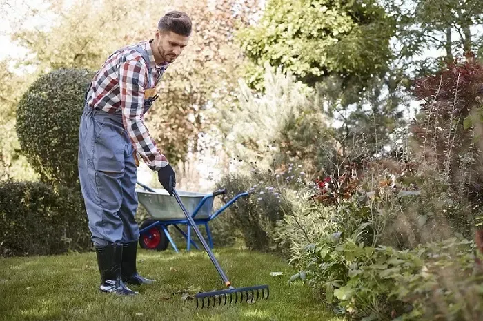 Exceptional Yard Cleanup in Richmond, CA