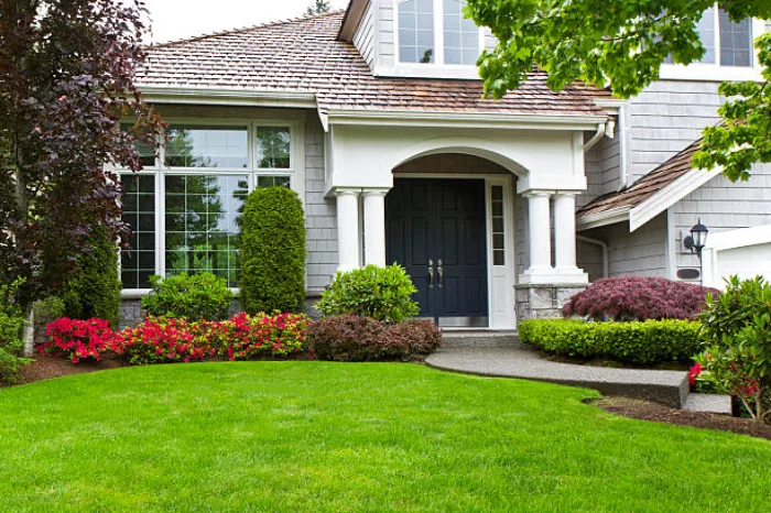 Front Yard Landscaping