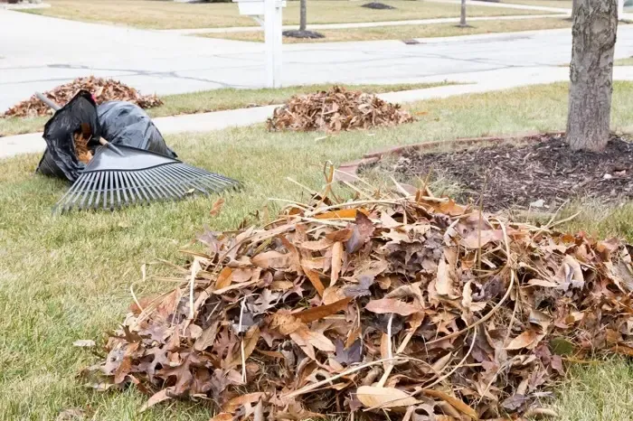 High-quality Yard Cleanup in Richmond, CA