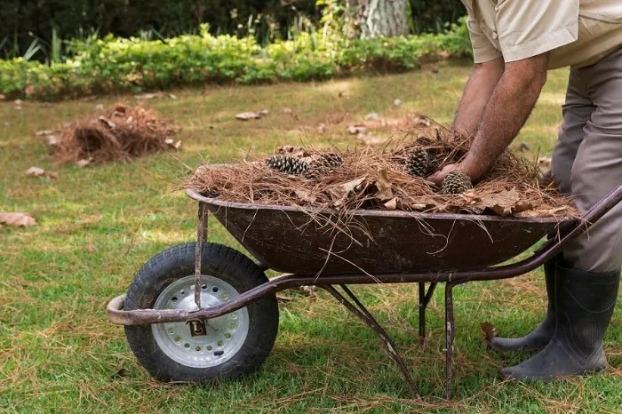 How To Clean A Backyard in Richmond, CA