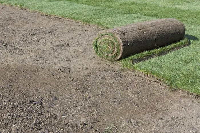 How long after installing sod can you walk on it Richmond, CA