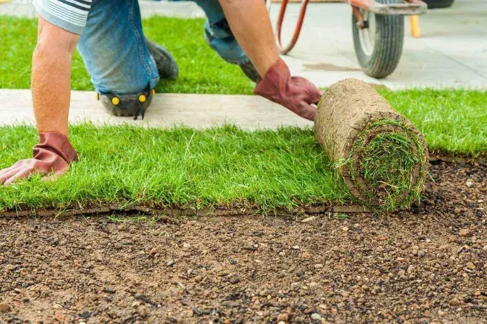 How long after installing sod can you walk on it in Richmond, CA