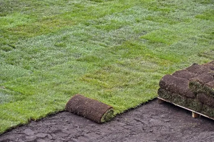 How to lay sod over existing lawn Richmond, CA