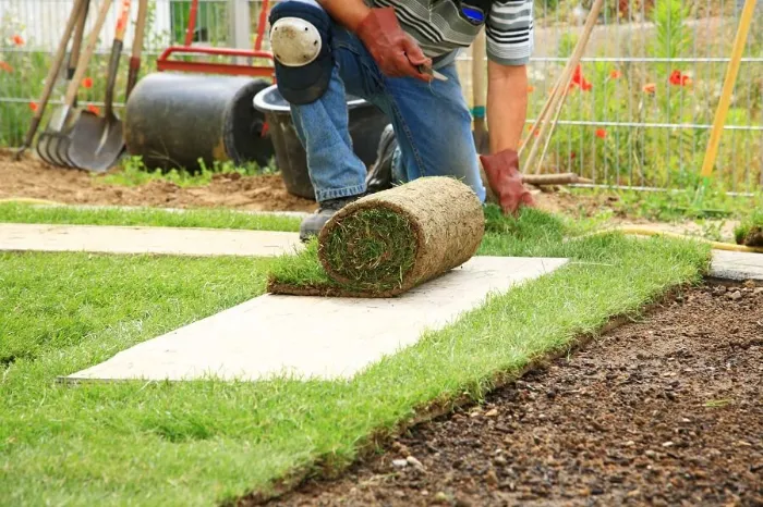 How to lay sod over existing lawn in Richmond, CA