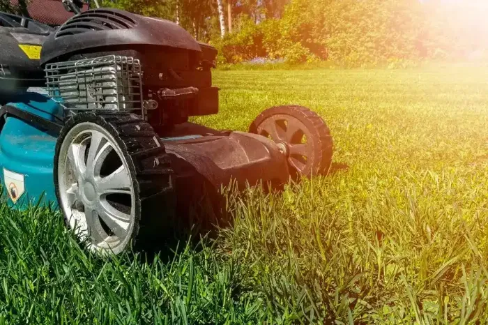 Professional Lawn Mowing in Richmond, CA