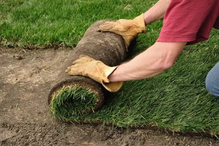 Proficient Sod Installation in Richmond, CA