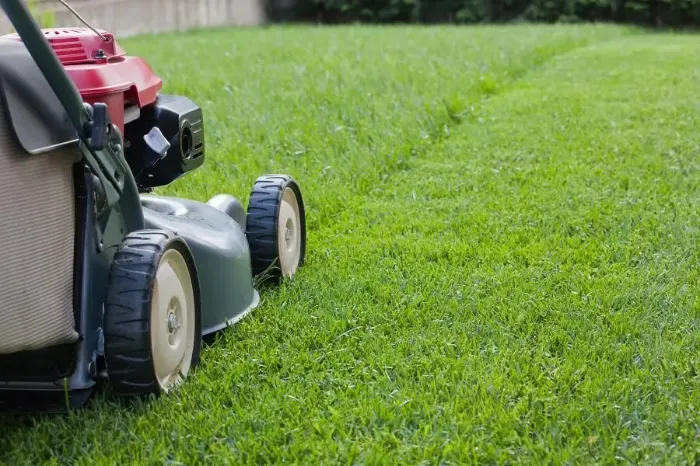 Reliable Lawn Mowing in Richmond, CA