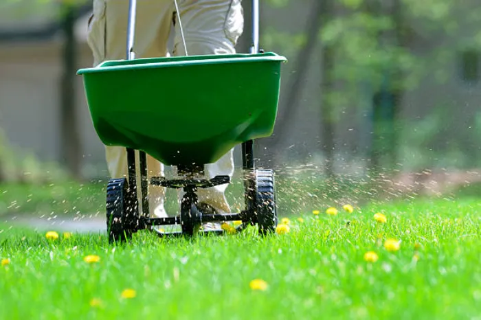 Top-notch Lawn Fertilization in Richmond, CA