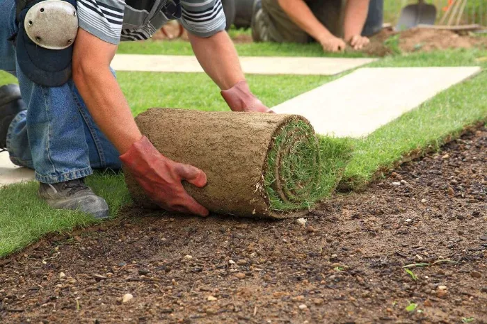 Trusted Sod Installation in Richmond, CA