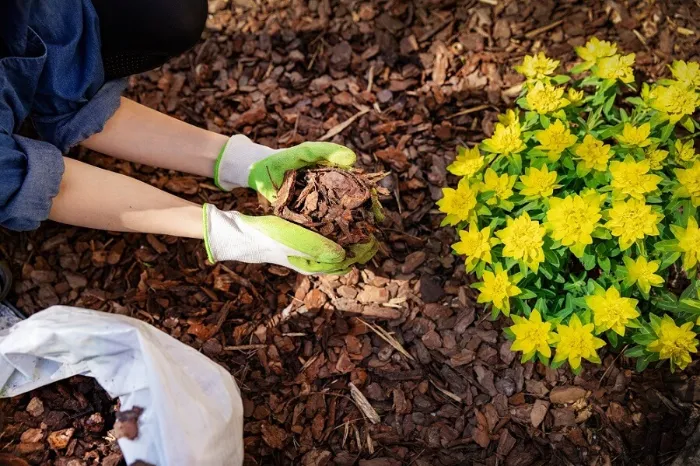 What does mulch do in Richmond, CA