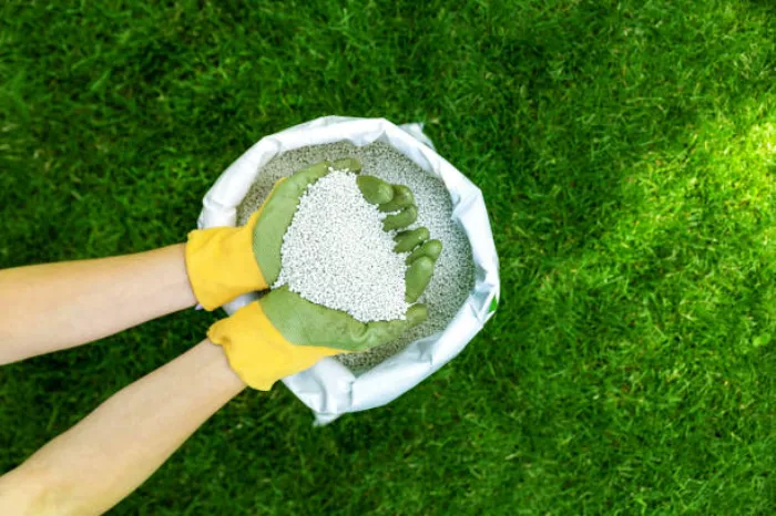 When is the best time to fertilize your lawn Richmond, CA