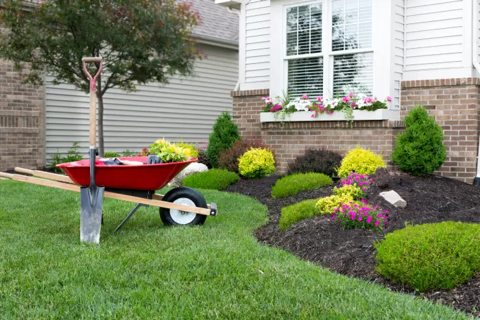 Professional landscaping company in Oakland, CA